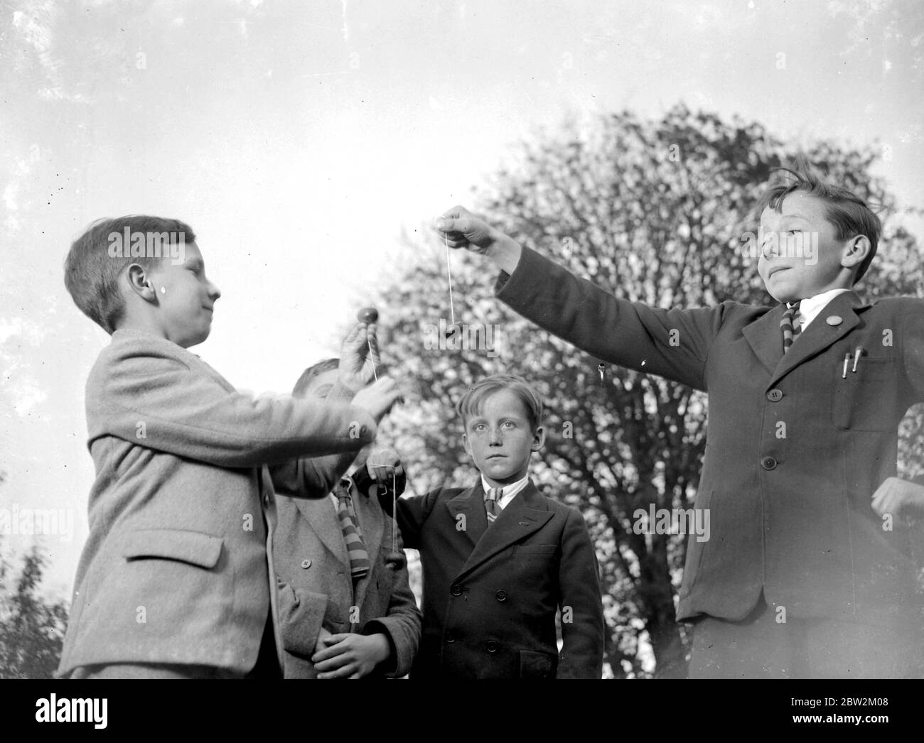 Tempo di Conker. 1934 Foto Stock