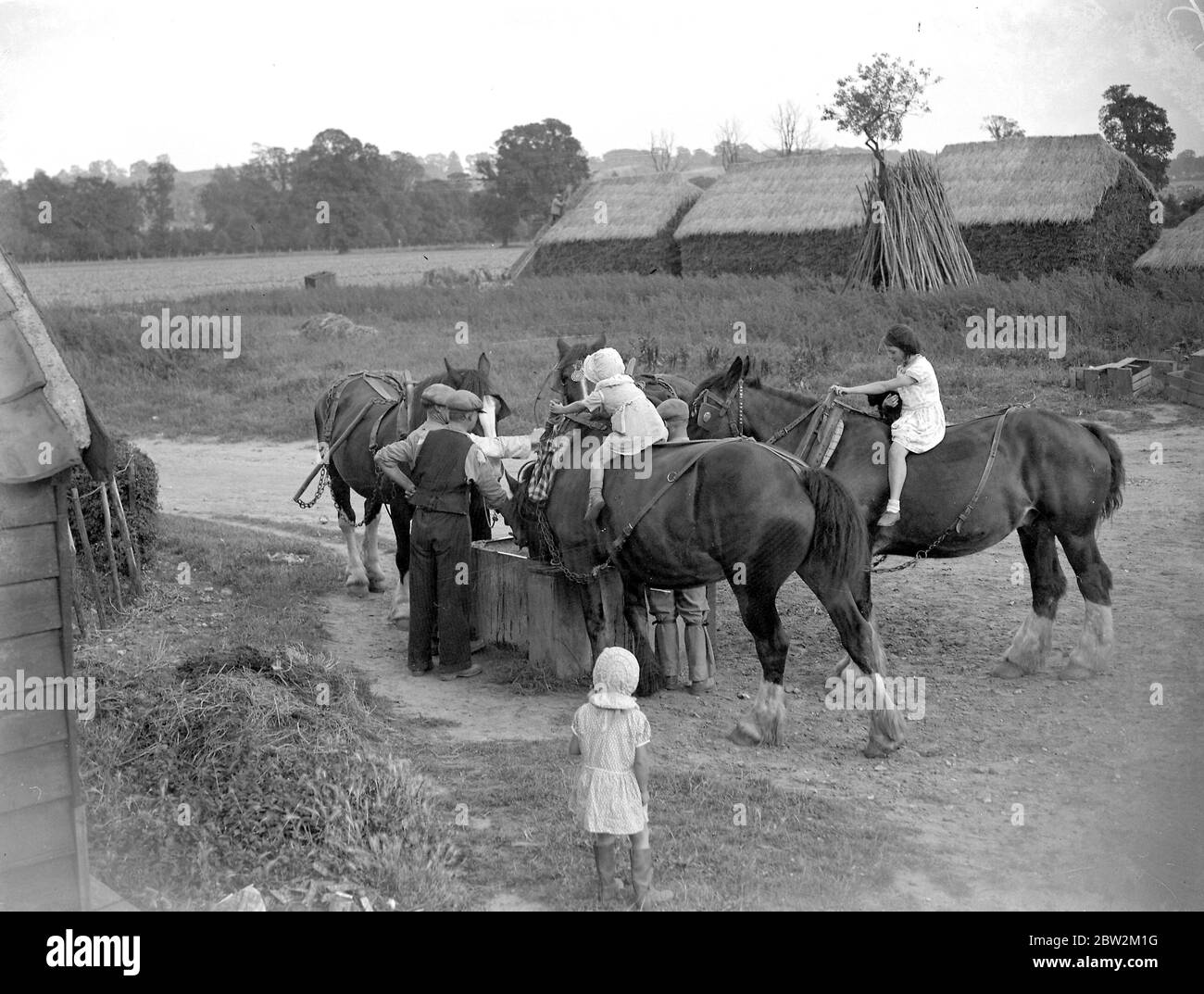 Scena agricola: Bambini sui cavalli in serata. 1934 Foto Stock