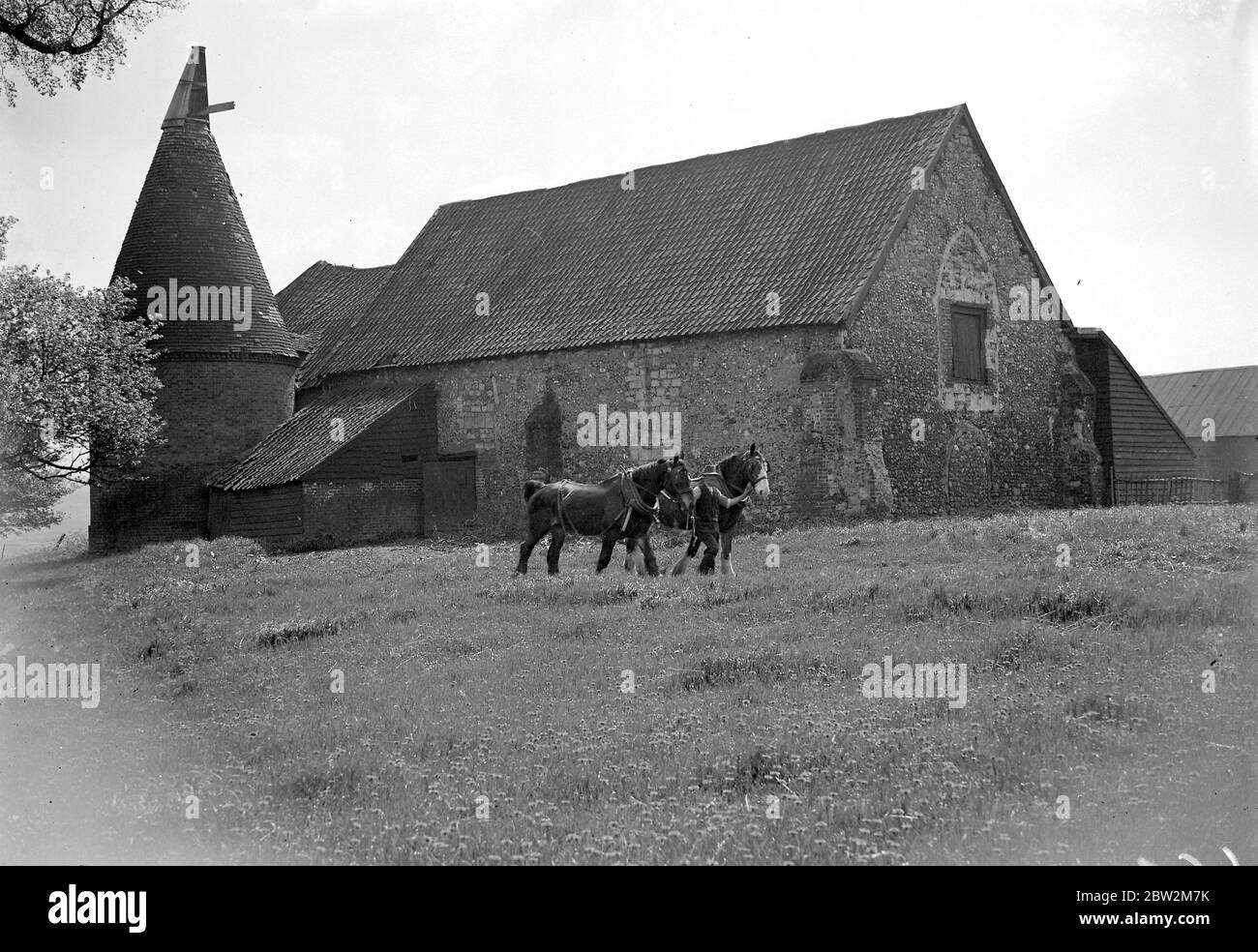 Cavalli su un campo di fronte a una chiesa di fienile con casa di produzione di oast / forno a luppolo. Marzo 1934 Foto Stock