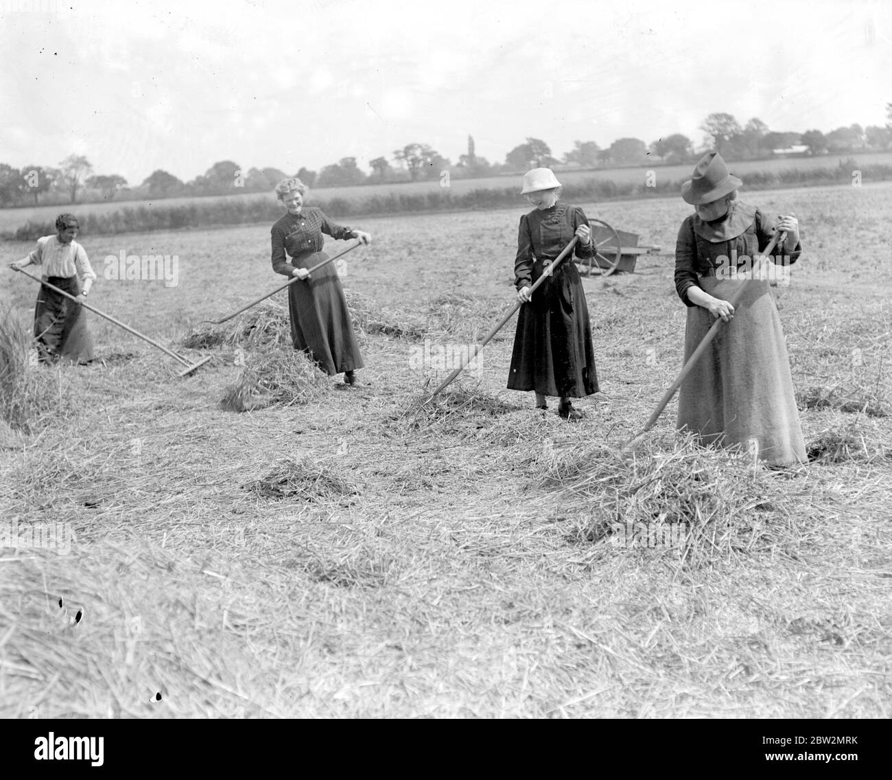 Donne assistere un contadino Norfolk con gli Hays. 1914-1918 Foto Stock