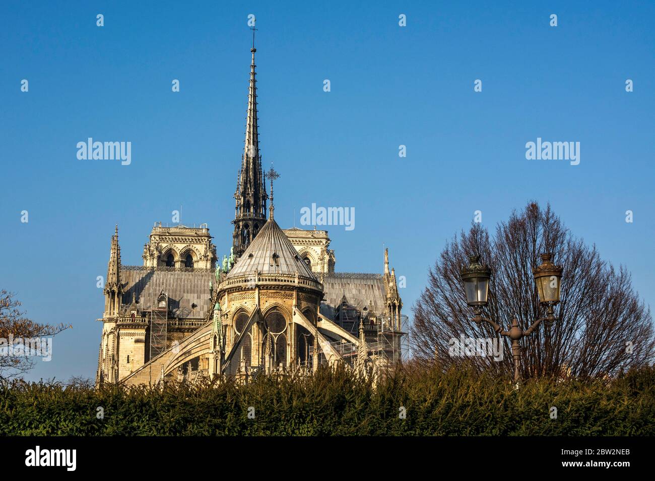 Cattedrale di Notre Dame, Parigi 1er arr, Francia, Europa Foto Stock