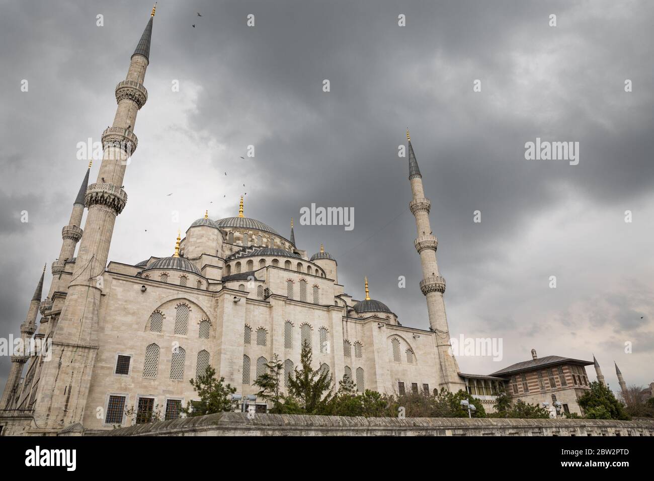 La Moschea Blu, Istanbul, Turchia Foto Stock