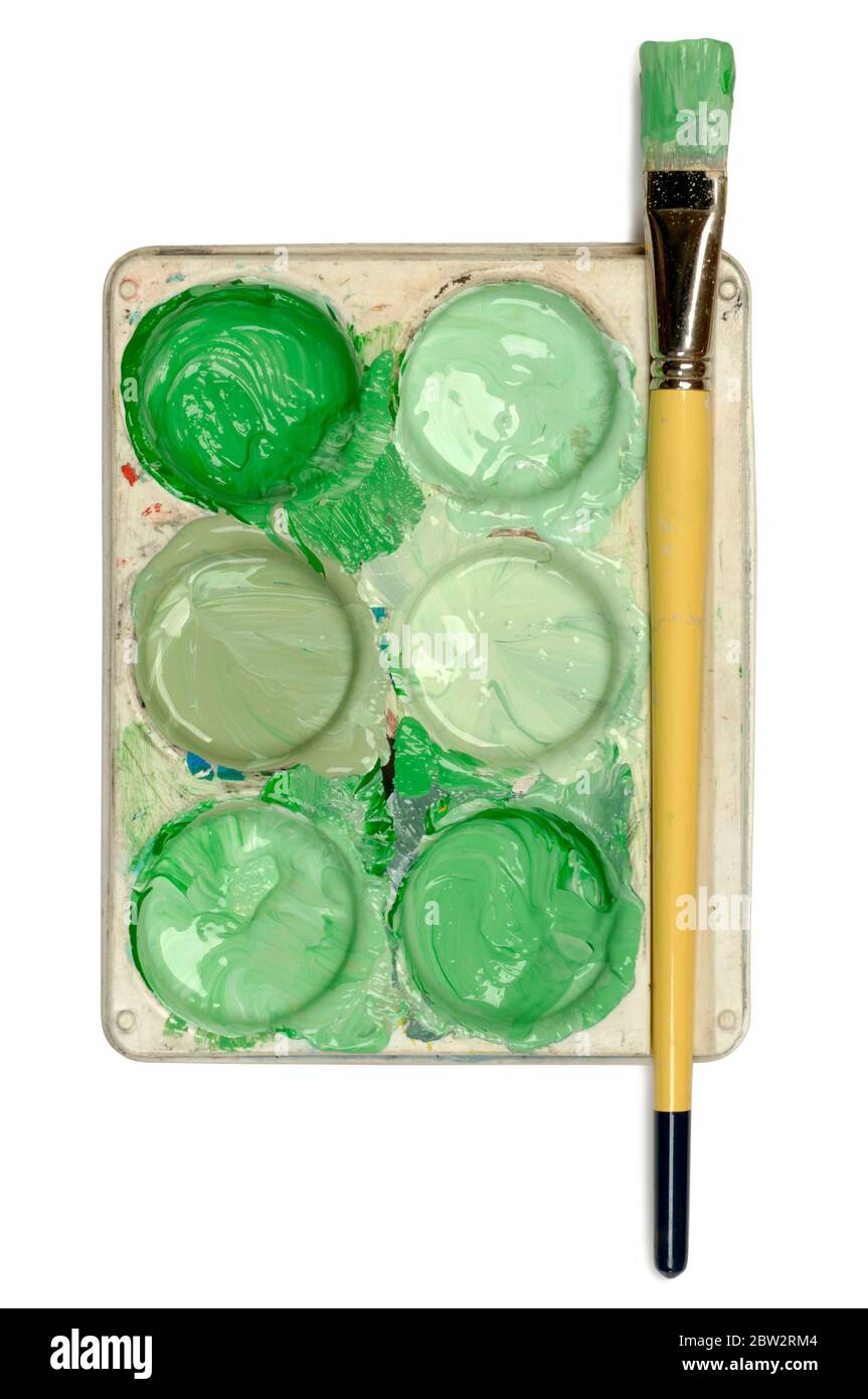 Una tavolozza di vernici di plastica riempita con vernice verde Foto Stock