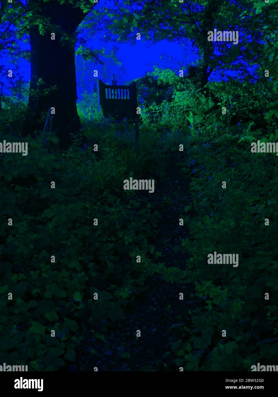 Immagine spettacolare che mostra il cancello del giardino in boschi contro il cielo blu vibrante Foto Stock