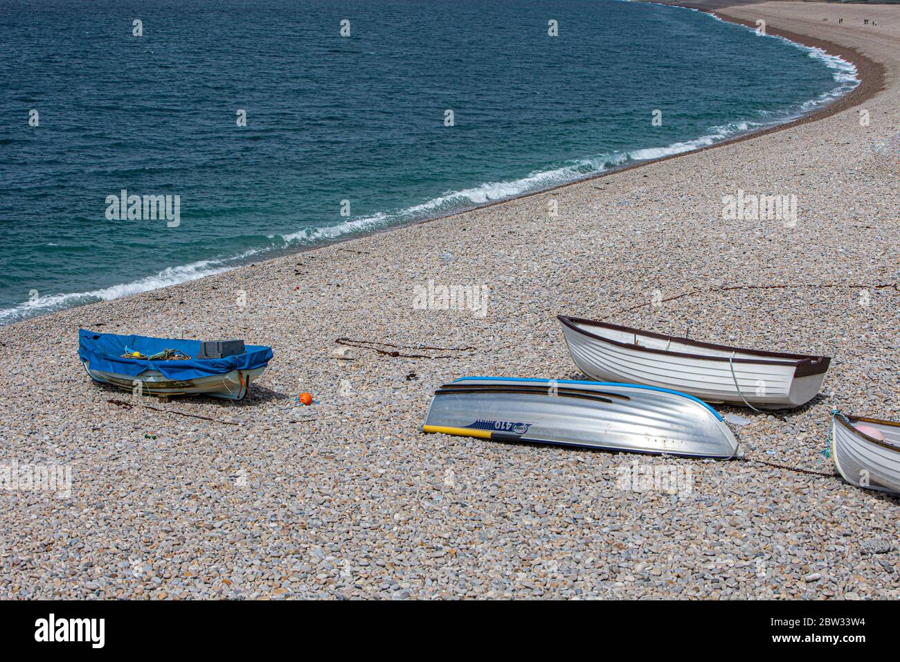 Diverse barche a remi sono state ormeggiate sulla spiaggia di Chesil vicino a Weymouth, nel Dorset Foto Stock