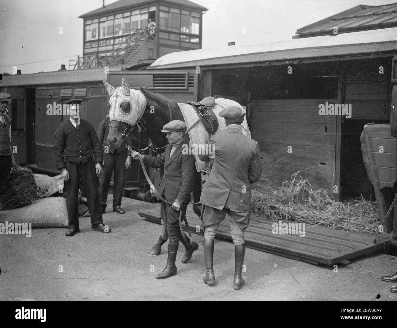 Ipporotide Myosotis in fase di scarico da una cassa di cavalli ferroviaria 1933 giugno Foto Stock