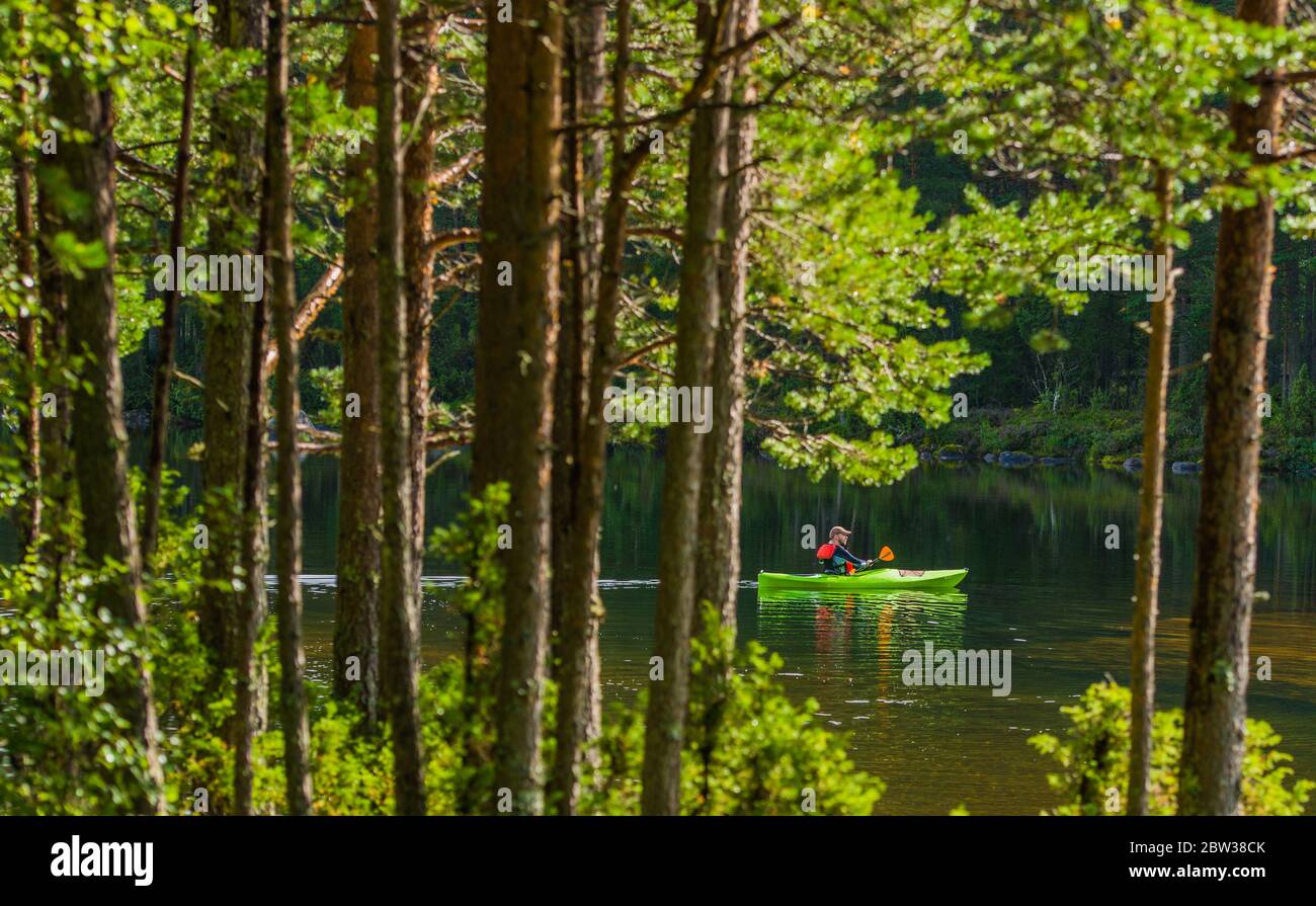 Uomini caucasici nei suoi 30 in Kayak viaggio lungo Scenic River tra Woodland. Tema kayak. Foto Stock