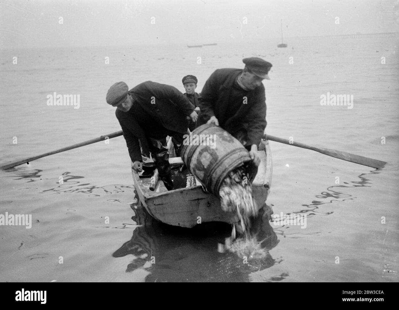 Prospettive nere per la pesca dello spratto di Southend . Solo stagione appena aperta ma nessun cliente . Eppure, dopo aver trascorso tre giorni a localizzare e a nettare i pesci e a smistarli , classificando e imballandoli in scatole , i pescatori non potevano trovare nessuno per comprarli . Anche gli agricoltori non avrebbero gli spratti per il letame . La cattura fu ribaltata di nuovo in mare , cosa che a volte accadde verso la fine di una stagione , ma raramente all' inizio . 17 novembre 1934 Foto Stock