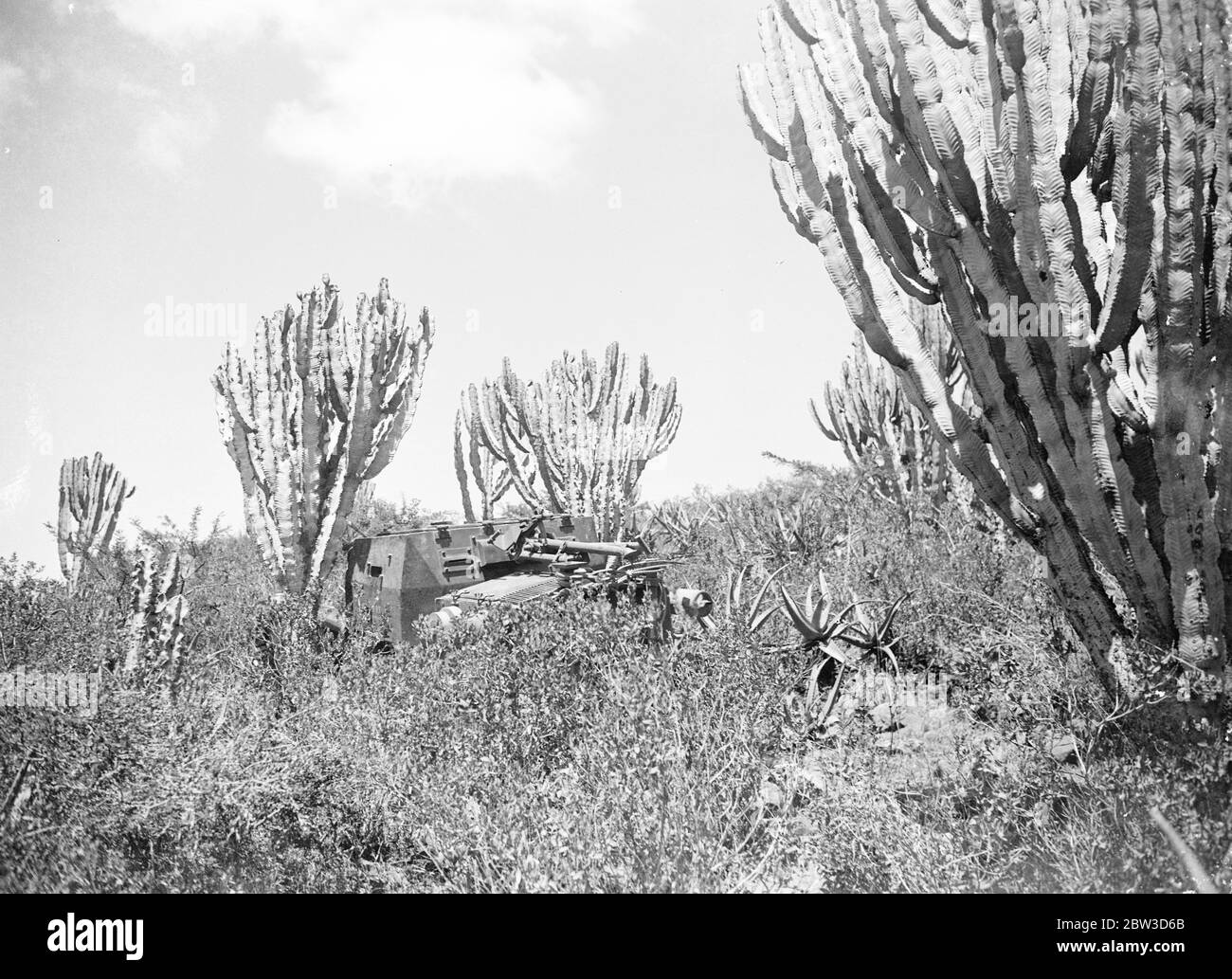 Film italiani di conflitto stampati per gli Stati Uniti . Foto Stock