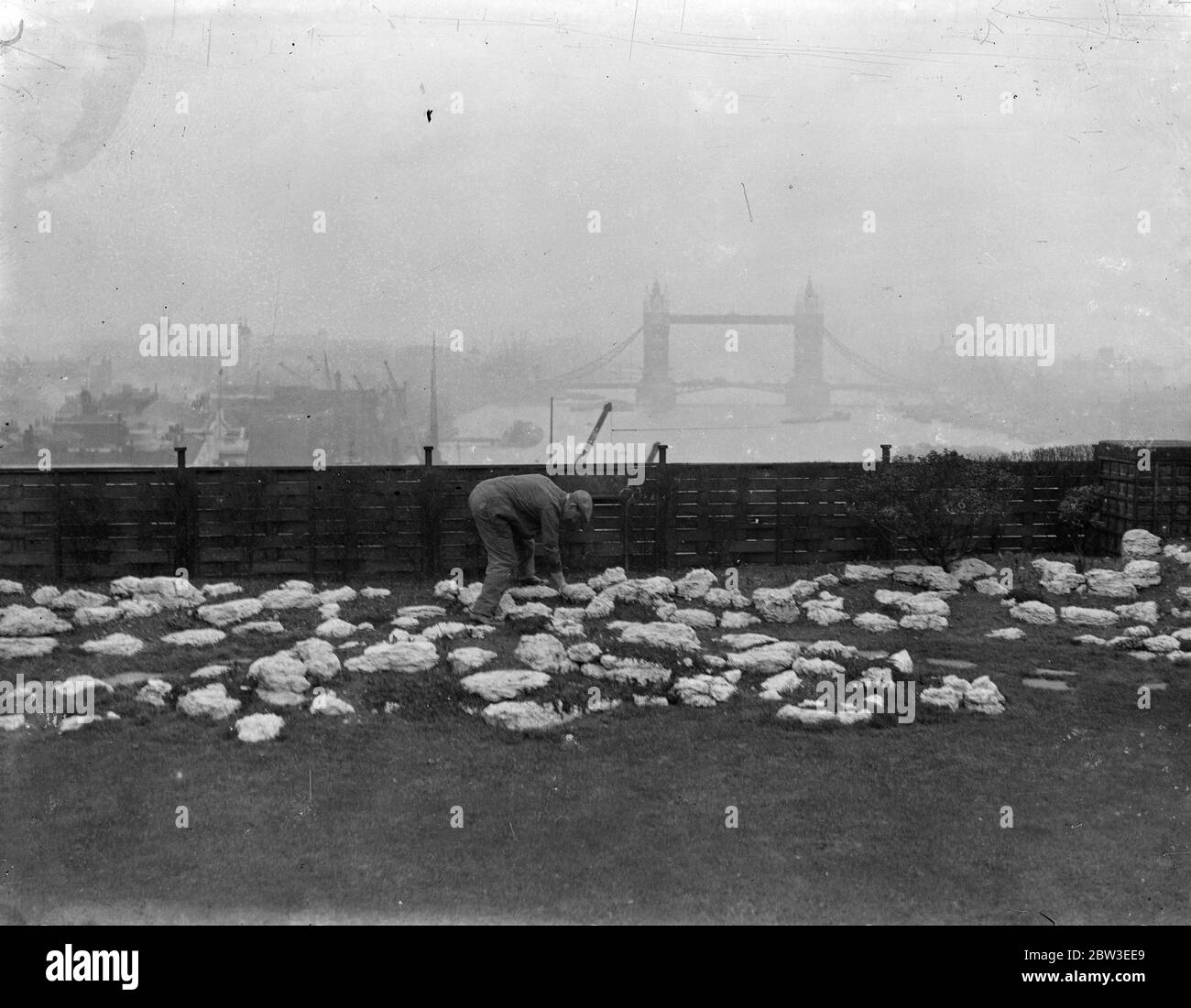 Rotolando su un tetto di Londra putting green . Un rullo verde è utilizzato sul tetto di un grande edificio cittadino. Sul tetto è un sedici buco che putting green che è favorito dagli impiegati in tempo caldo. 5 febbraio 1935 Foto Stock