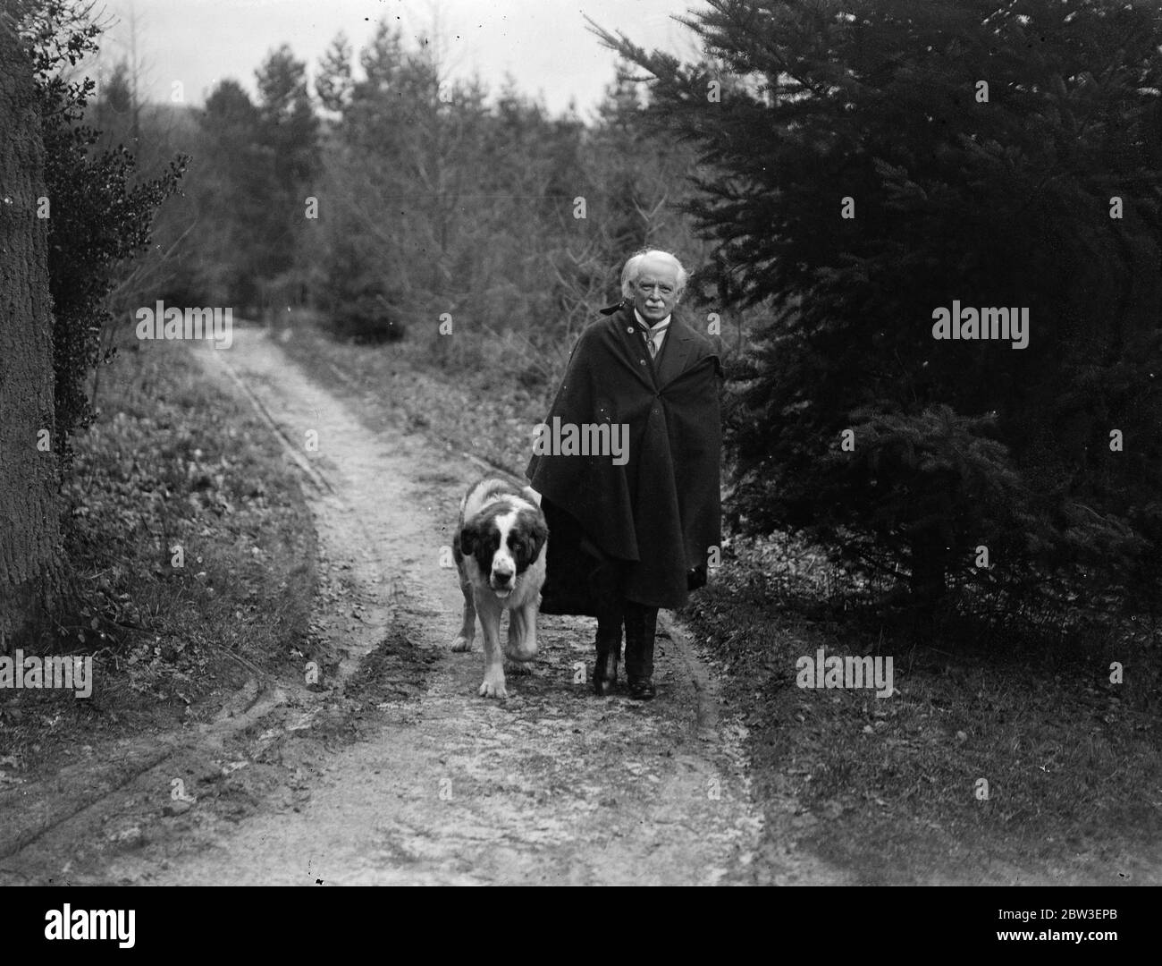 Il signor David Lloyd George camminava il suo cane San Bernardo a Churt , Surrey , il suo 72esimo compleanno . 17 gennaio 1935 Foto Stock