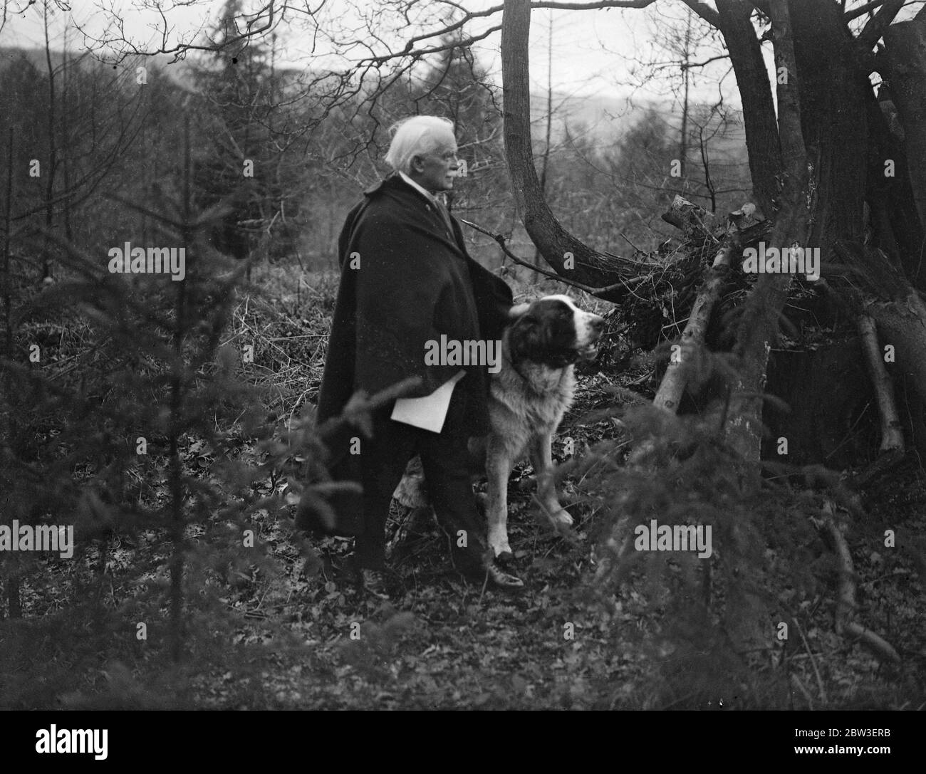 Il sig. Lloyd George camminava il suo cane San Bernardo a Churt , Surrey , il suo 72esimo compleanno . 17 gennaio 1935 Foto Stock