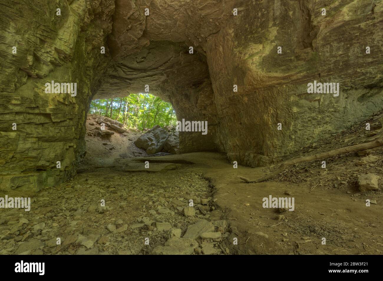 Un ponte naturale nei boschi Foto Stock