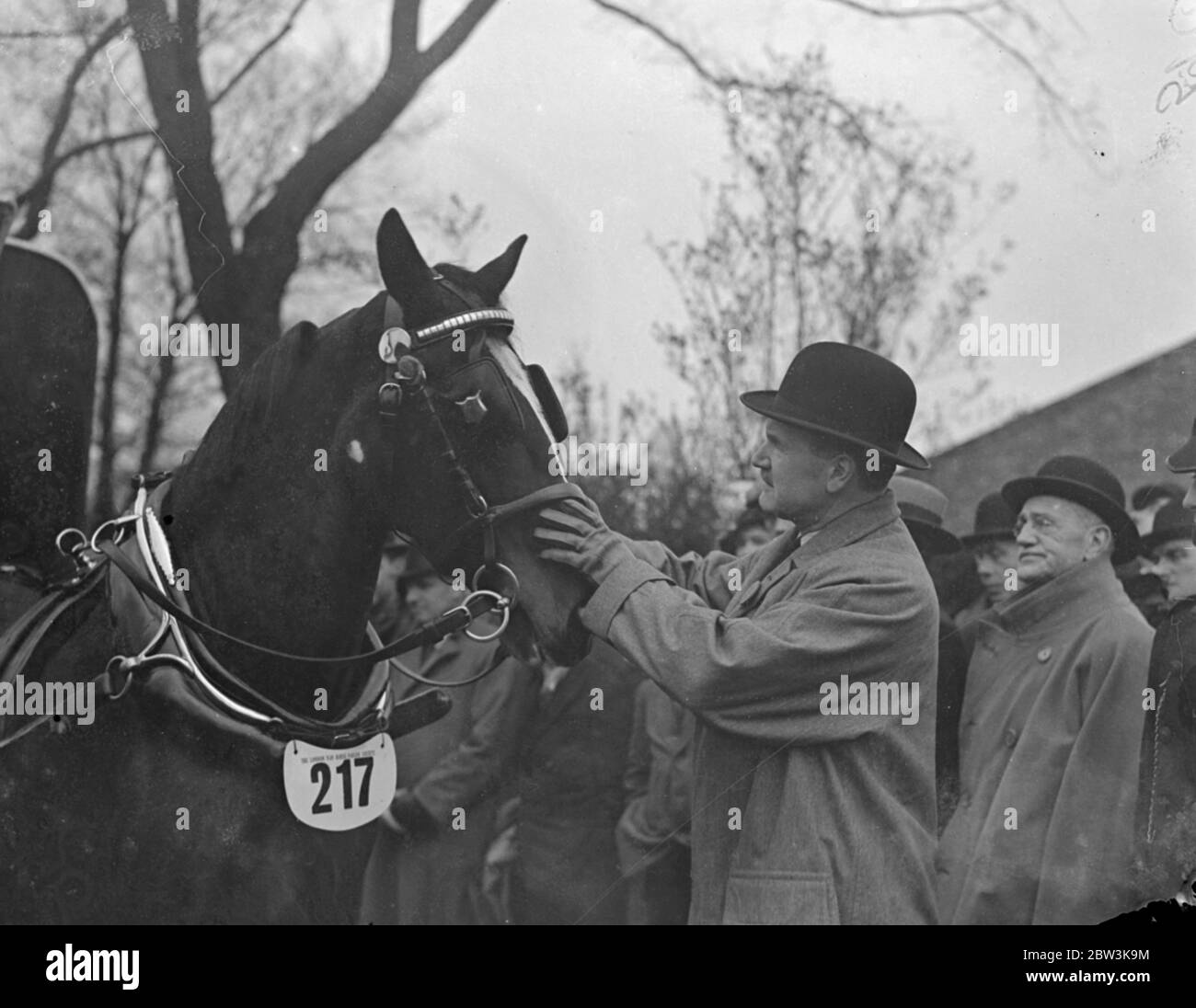 Lunedì di Pasqua van Horse Paradein Parco del Reggente . La parata del lunedì di Pasqua organizzata dalla London Van Horse Parade Society si è tenuta nel Circolo interno , Regent ; s Park . Questa è stata la mostra annuale 28 . Foto spettacoli , Lieutebebebett Colonnello Sir Percy Laurie giudicare una voce . 13 aprile 1936 Foto Stock