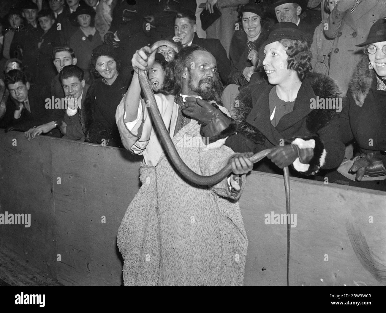 I incantatori di serpenti danno agli acquirenti un'emozione natalizia . Un acquirente natalizio gestisce uno dei serpenti durante l'intrattenimento presso i negozi di Croydon . 10 dicembre 1935 Foto Stock
