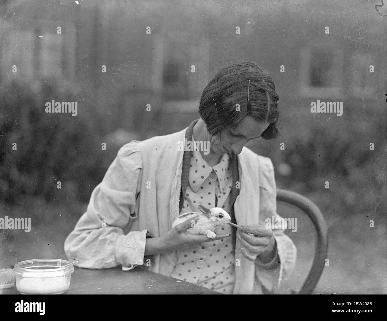 Dotata di abilità e pazienza insolite, la signorina Mary era una giovane donna sposata di Gold Hill , Chalfont St Peter , Buckinghamshire , possiede il raro potere di domare le creature selvagge dei boschi , alla sua chiamata anche gli scoiattoli lasciano i loro posti e gli uccelli volano giù per nutrirsi dalle sue mani . A casa sua sta allevando a mano diversi conigli e Pete , un terrier per animali domestici trovato come una pervida , agisce come guardia per loro . La signora Were , della famiglia di tredici , ha un' ambizione di aprire una clinica per gli animali . Ha messo in primo luogo il suo regalo raro da usare quando il suo marito era disoccupato per tre anni, quando ha girato t Foto Stock