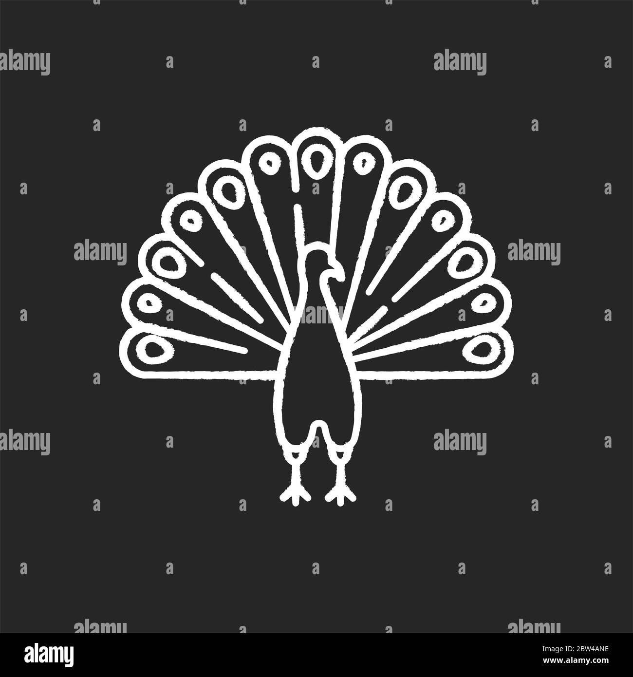 Icona bianca in gesso di pavone su sfondo nero Illustrazione Vettoriale