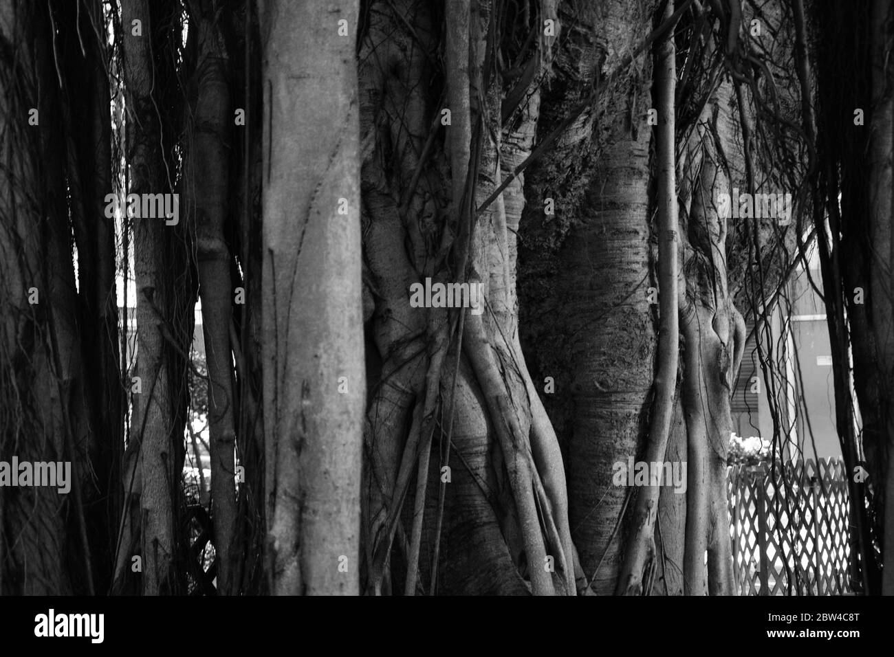 Strade di Hong Kong Island, Cina Foto Stock