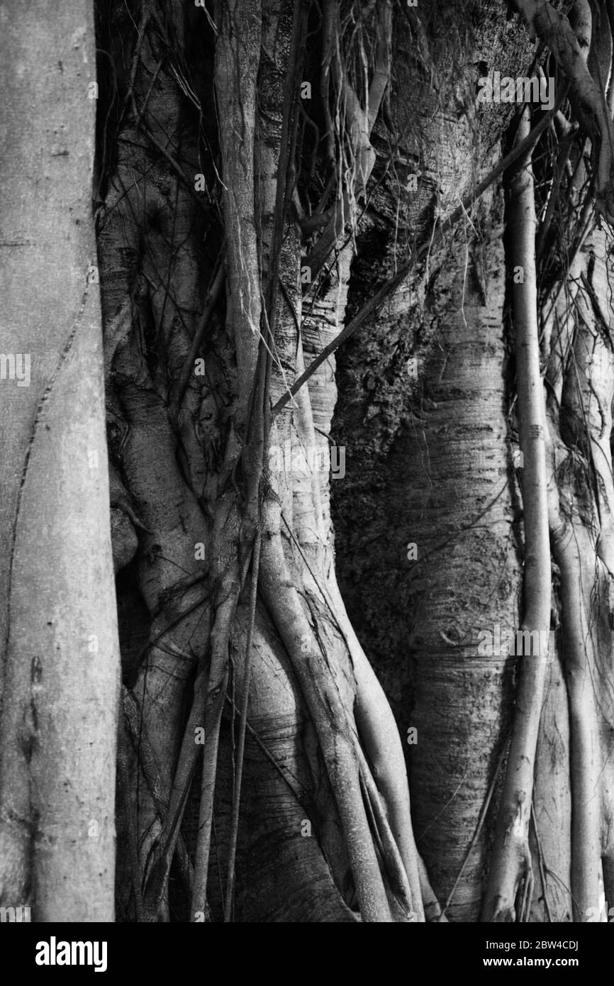 Strade di Hong Kong Island, Cina Foto Stock