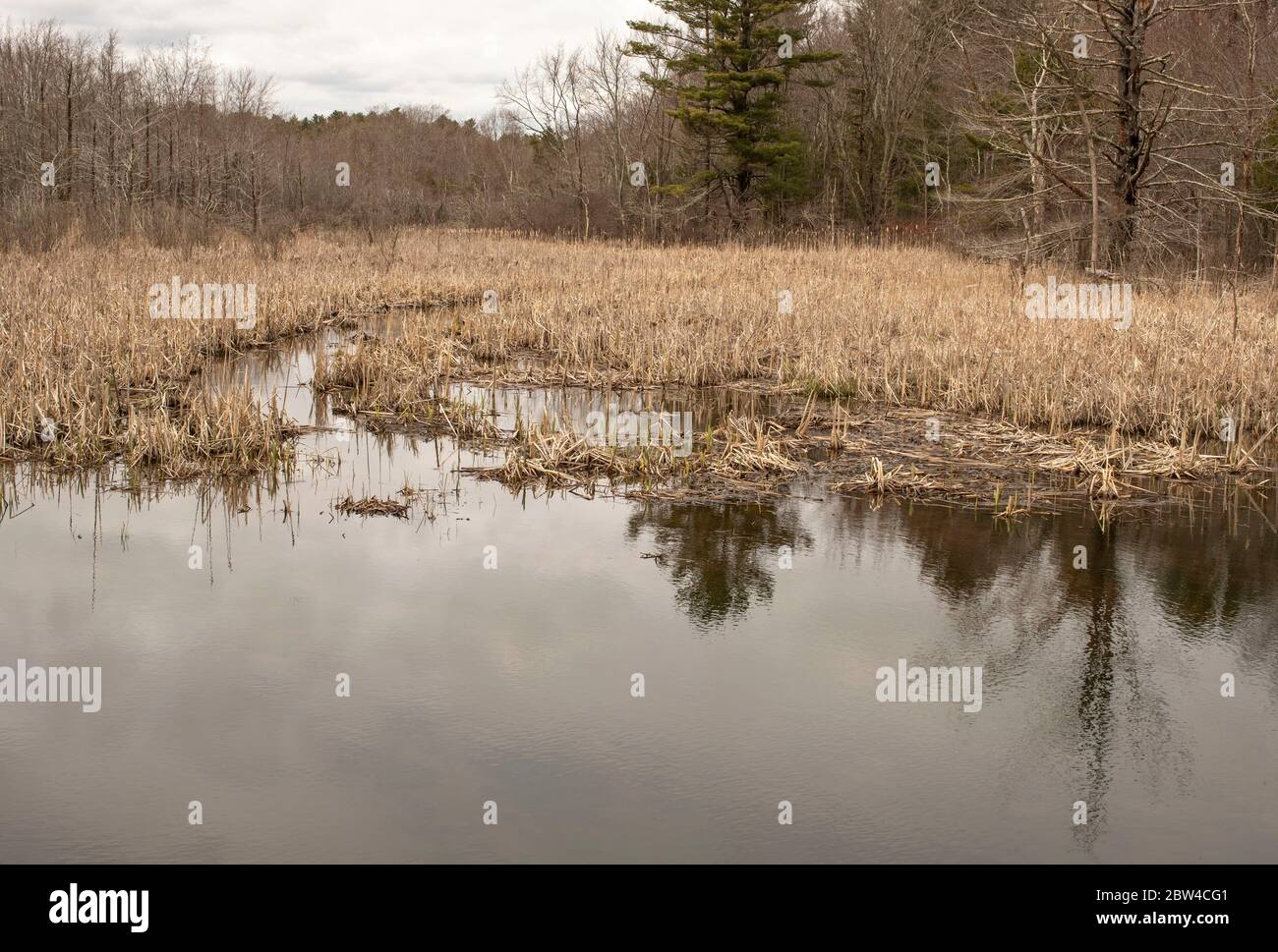 Questo spartiacque copre circa 23 miglia di lunghezza. Questo spartiacque si estende per circa 82 chilometri quadrati nella contea di Essex. Inizia a Newburyport e scorre Thr Foto Stock