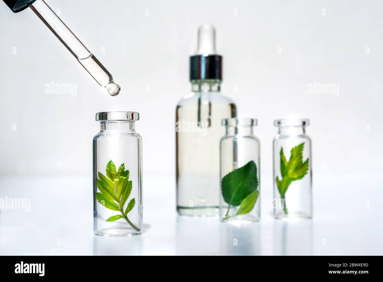 Oli vegetali omeopatici. Concetto di biologico, biosmetico e additivi alimentari Foto Stock