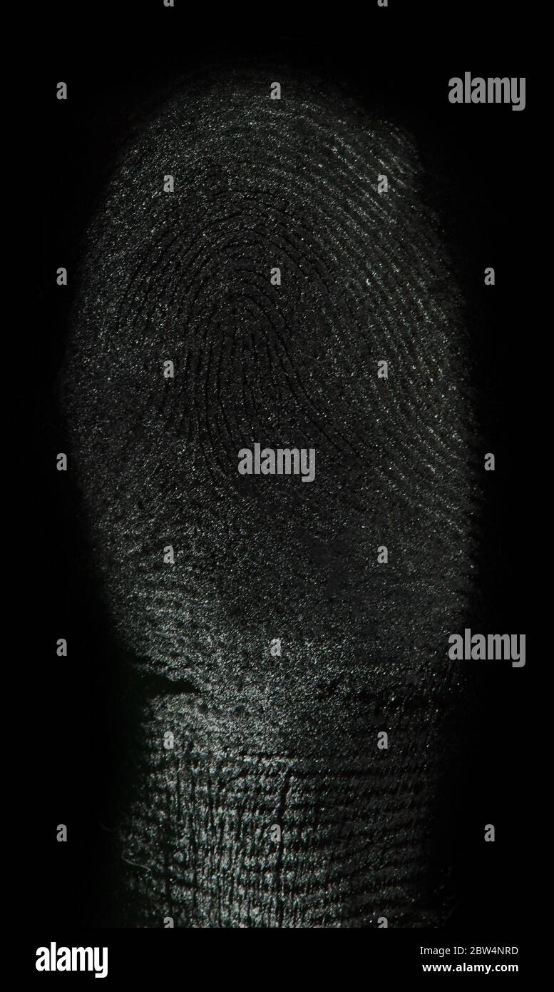 Una vera impronta digitale isolata su sfondo nero Foto Stock