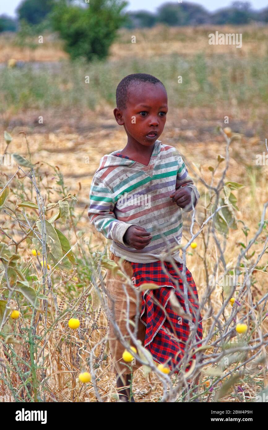 Ragazzo Maasai, in piedi, vestiti sporchi, tela rossa, tribale, bambino, Tanzania, Africa Foto Stock