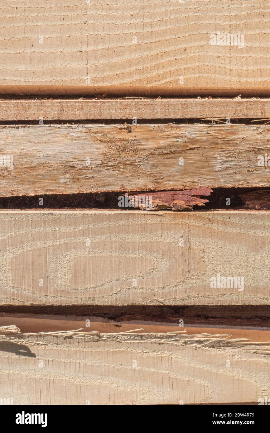 Cumulo di scarti di legname di segheria al sole. Metafora industria del legno britannico, Segherie, riciclaggio legno, scarti. Foto Stock