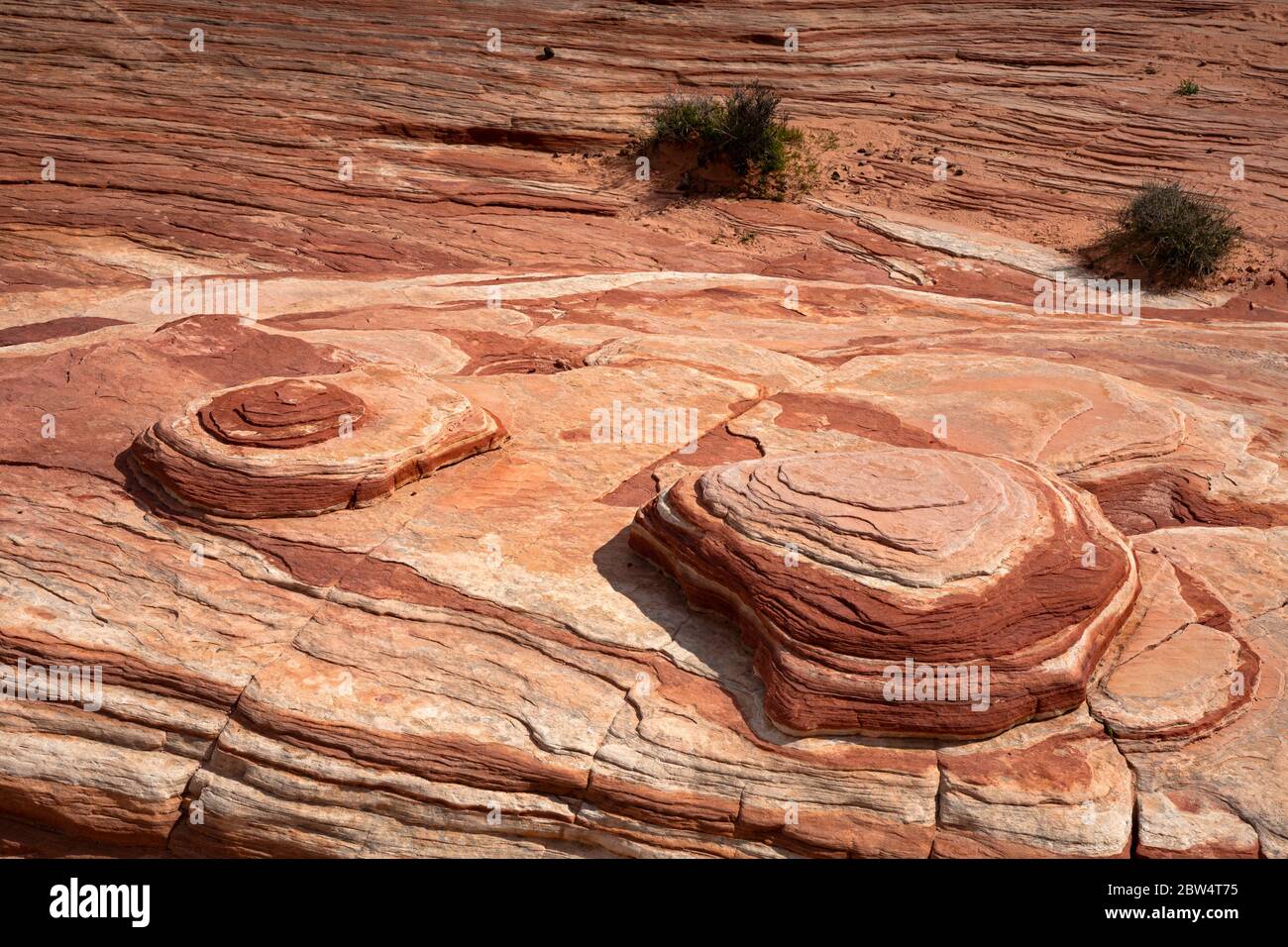 NV00183-00...NEVADA - due piccole cupole colorate al Fire Wave nel Valley of Fire state Park. Foto Stock