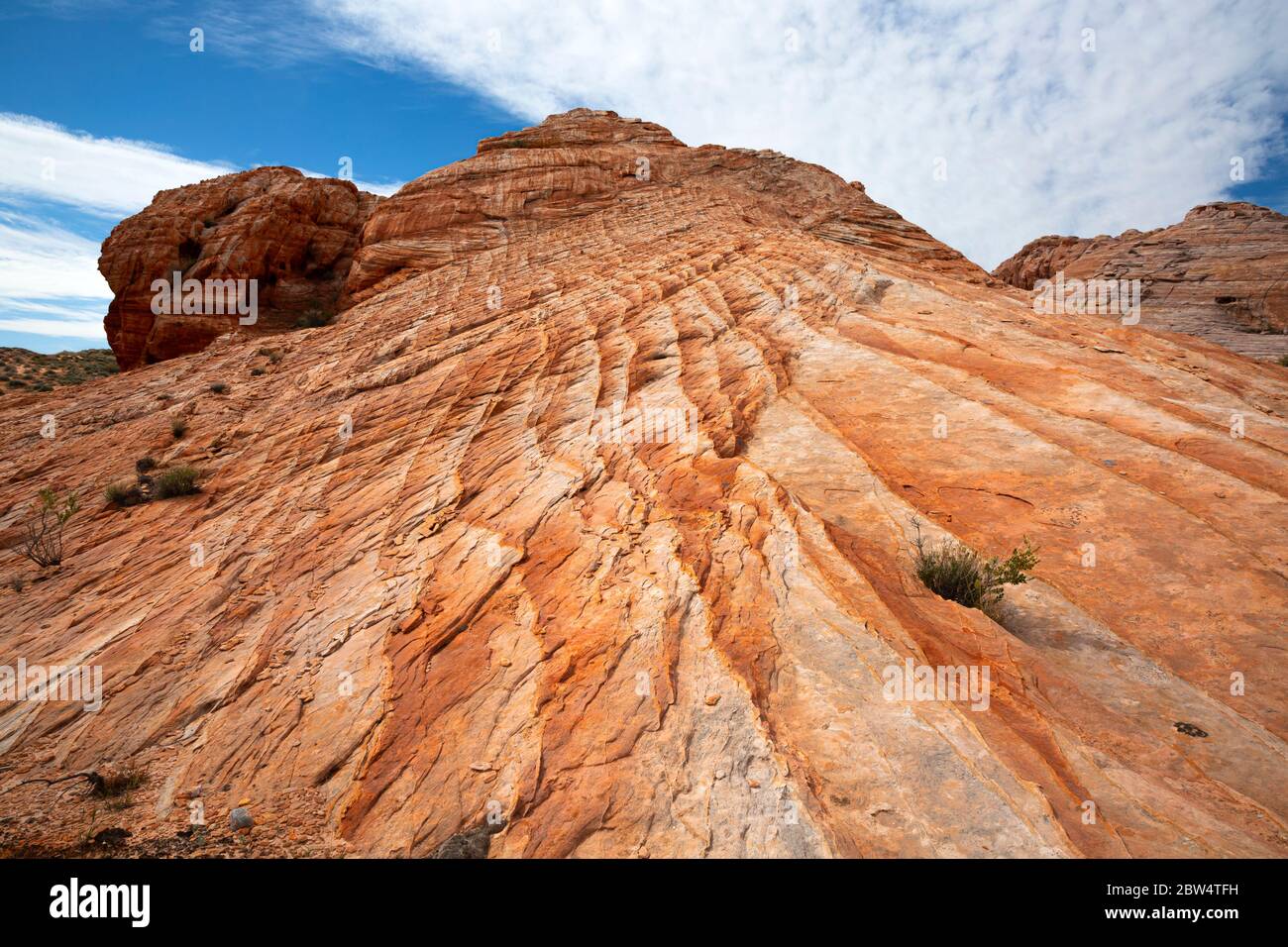 NV00189-00...NEVADA - strati inclinati con fasce di compattazione fragili che li attraversano creando motivi colorati al Valley of Fire state Park. Foto Stock