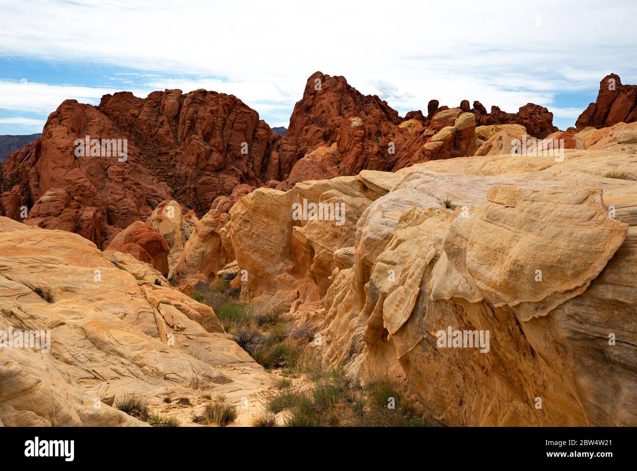 NV00200-00...NEVADA - pietra arenaria colorata chiara a contrasto con la pietra arenaria azteca rossa del Fire Canyon nella Valle del Fire state Park. Foto Stock