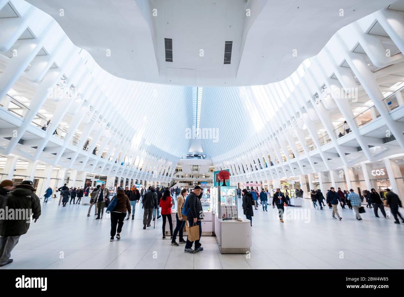 Interno di Oculus della stazione della metropolitana bianca World Trade Center, New York. La stazione è stata progettata da Santiago Calatrava Foto Stock