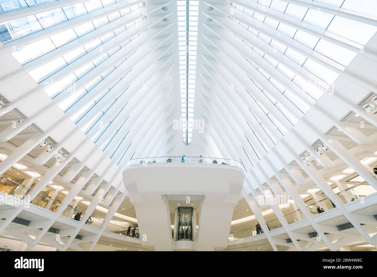 Interno di Oculus della stazione della metropolitana bianca World Trade Center, New York. La stazione è stata progettata da Santiago Calatrava Foto Stock