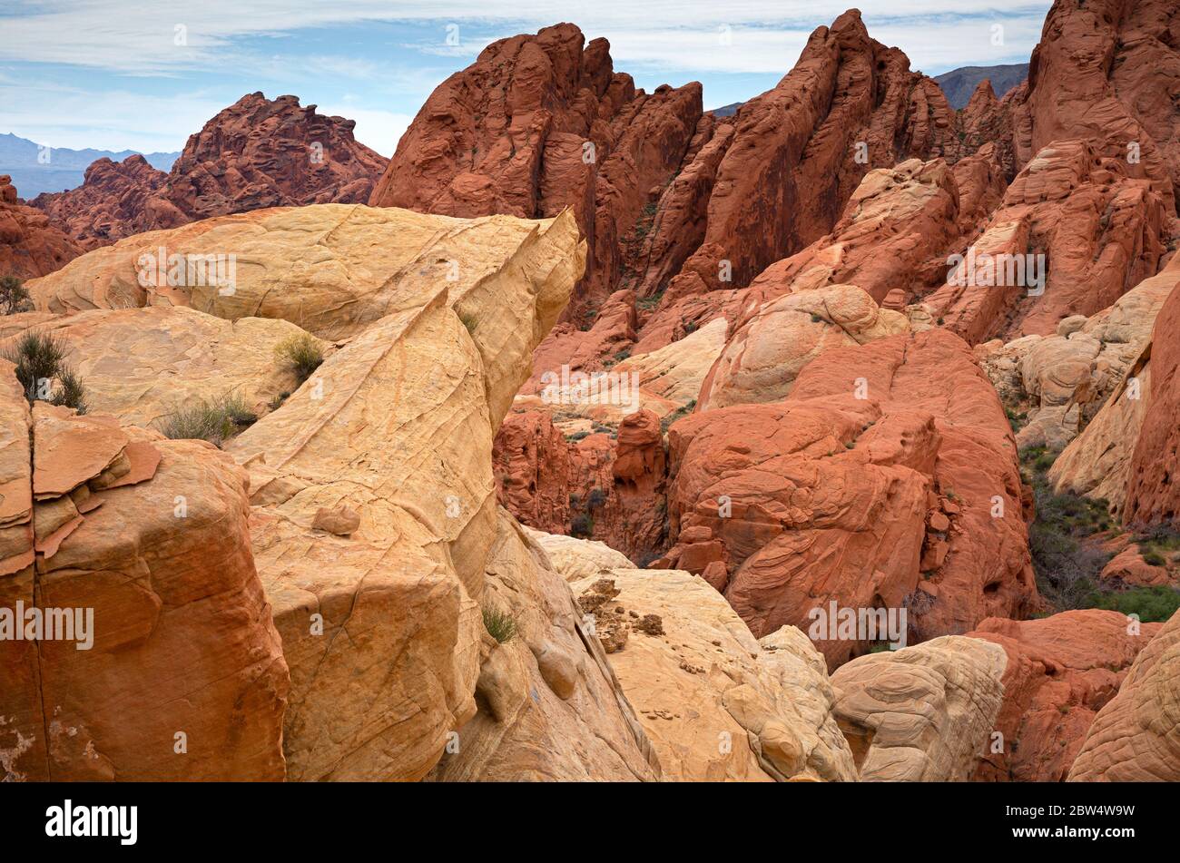 NV00206-00...NEVADA - cambiamenti di colore drammatici nella pietra arenaria lungo il confine del Fire Canyon nel Valley of Fire state Park. Foto Stock