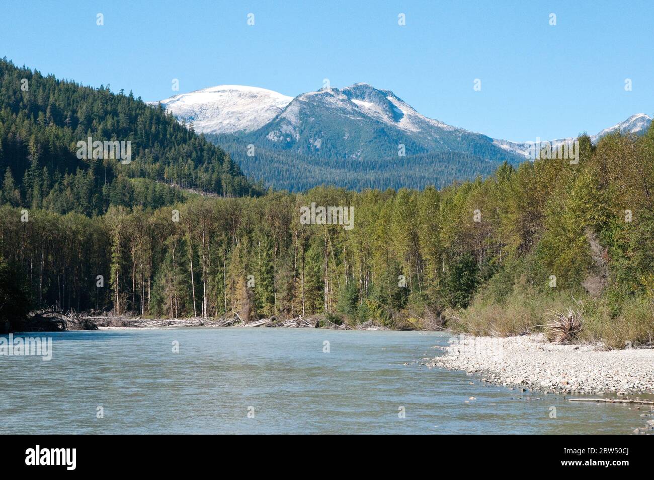 La foce della valle del fiume Sheemahant nella foresta pluviale del Great Bear, vicino al lago Owikeno, sulla costa centrale della Columbia Britannica, Canada. Foto Stock