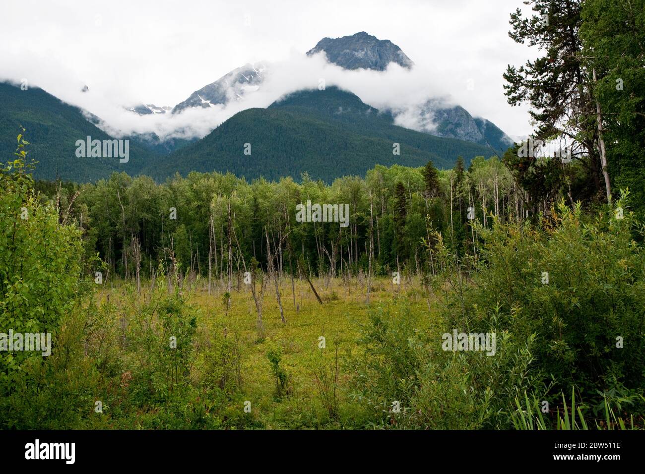 Roche de Boule montagna sopra le valli del fiume Bulkley e Skeena, vicino a Hazelton, nella Columbia Britannica settentrionale, Canada. Foto Stock