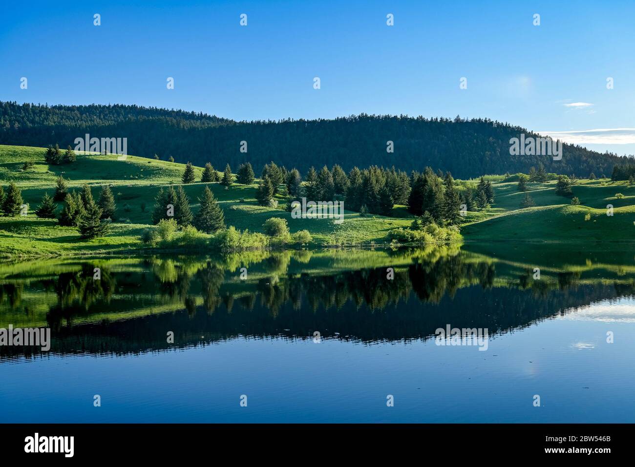 Praterie, Lac Du Bois Area protetta, vicino a Kamloops, British Columbia, Canada Foto Stock