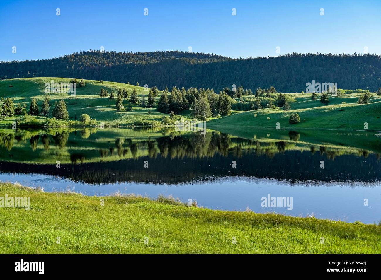 Praterie, Lac Du Bois Area protetta, vicino a Kamloops, British Columbia, Canada Foto Stock