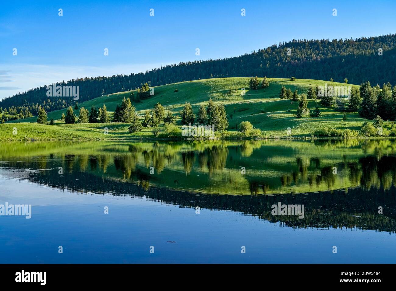 Praterie, Lac Du Bois Area protetta, vicino a Kamloops, British Columbia, Canada Foto Stock
