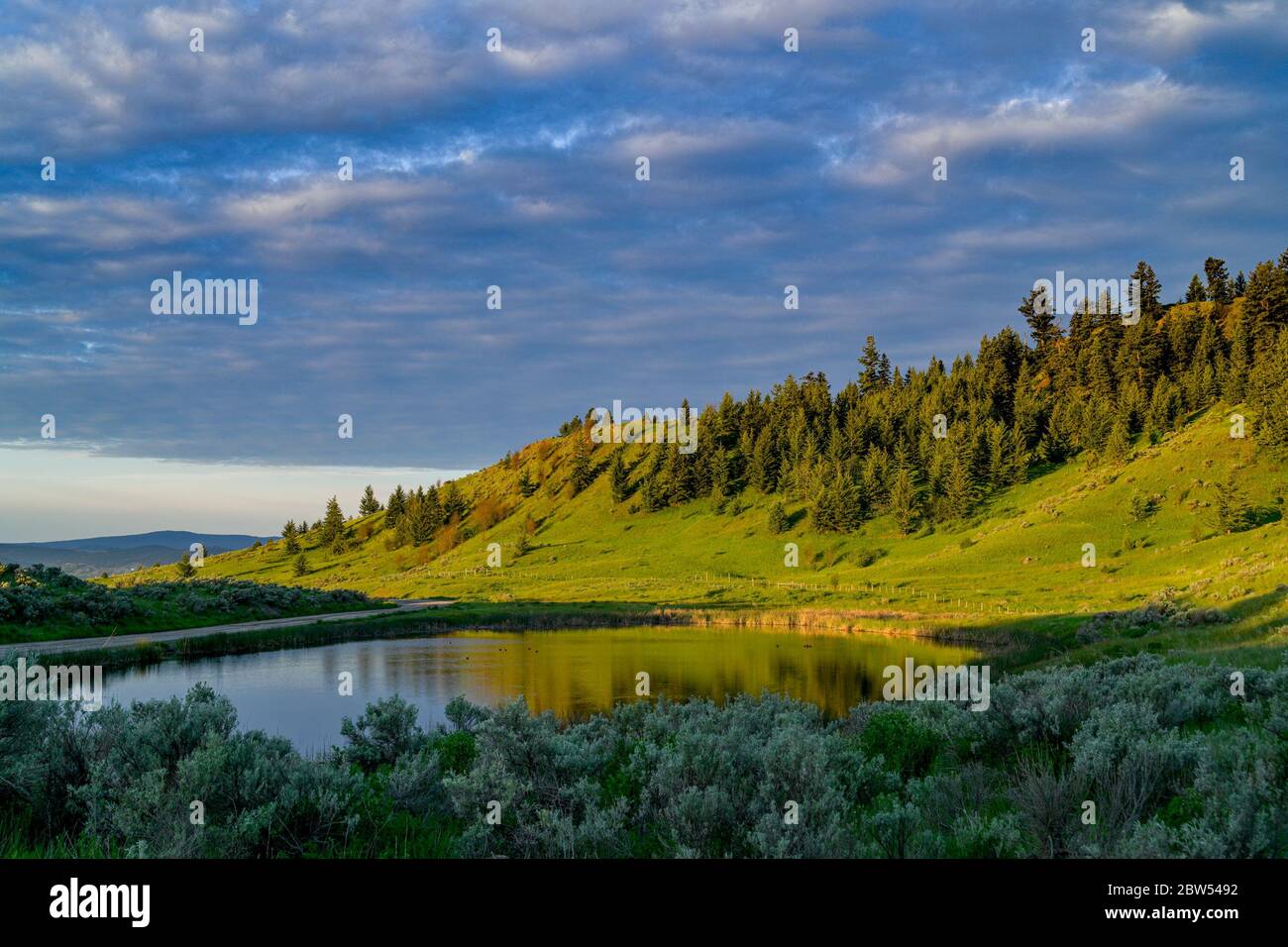 Stagno e praterie, praterie, Lac Du Bois Area protetta, vicino a Kamloops, British Columbia, Canada Foto Stock