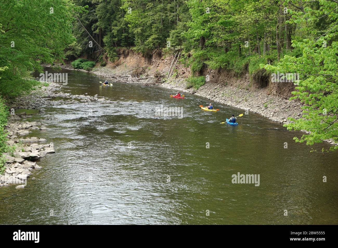 Forks, Pennsylvania/USA - 24 maggio 2020: Persone non identificate in kayak uscire e godersi la natura durante la pandemia COVID-19. Foto Stock