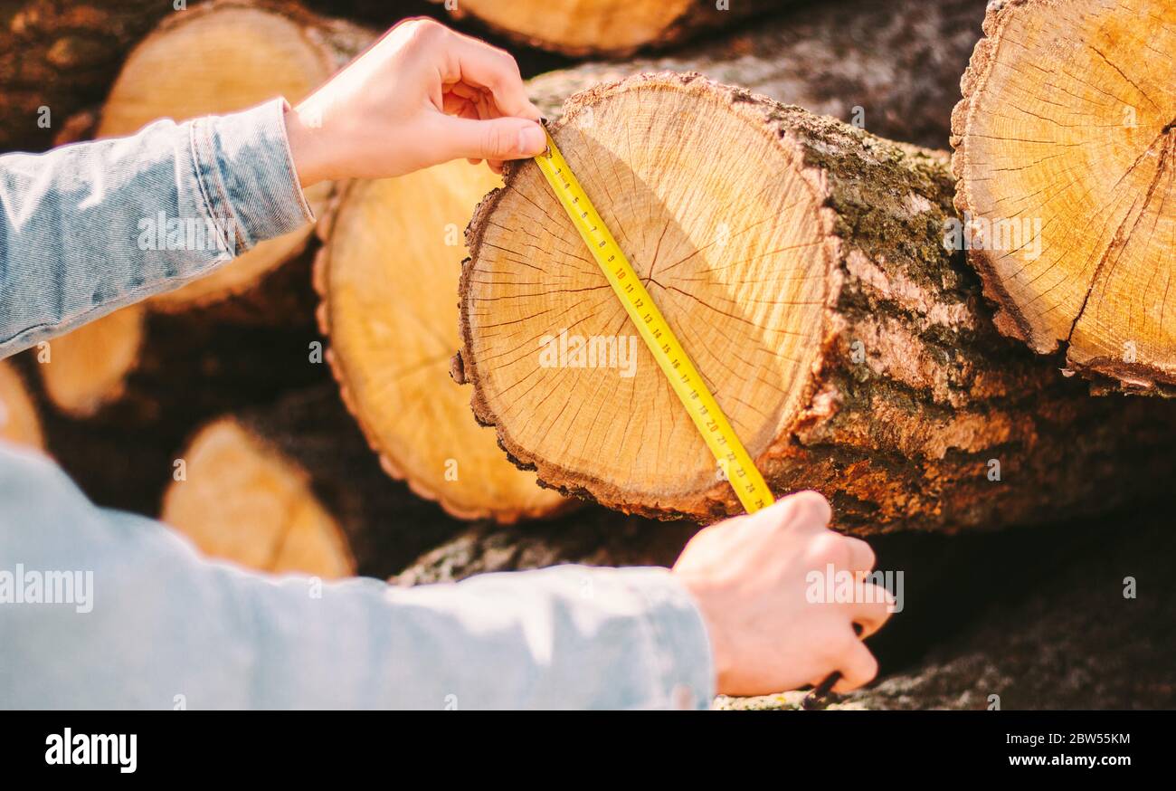 Closeup gestione magazzino produzione legno controllo dimensioni tronchi  albero taglio con nastro di misura. Uomo carpentiere con metro a nastro per  misurare il legno tritato Foto stock - Alamy