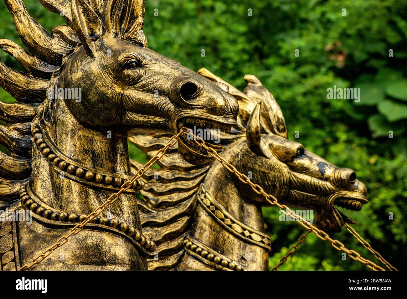 Testa di cavalli dorati Foto Stock