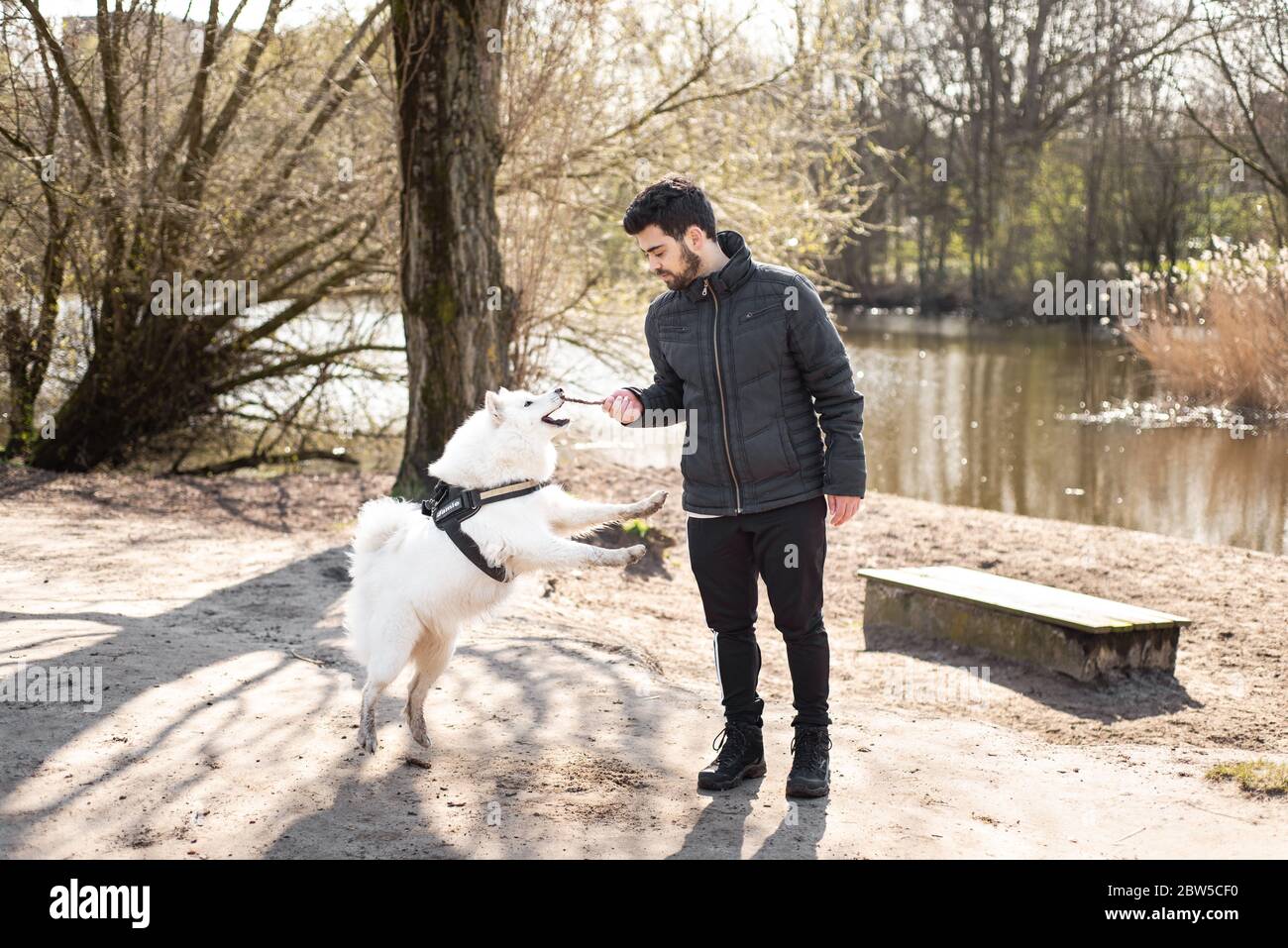 Un uomo che gioca con un cane, Jamie, all'aperto in una giornata fredda Foto Stock