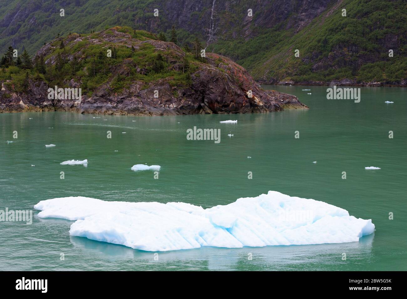Iceberg in Tracy Arm Fjord, Alaska, Stati Uniti Foto Stock