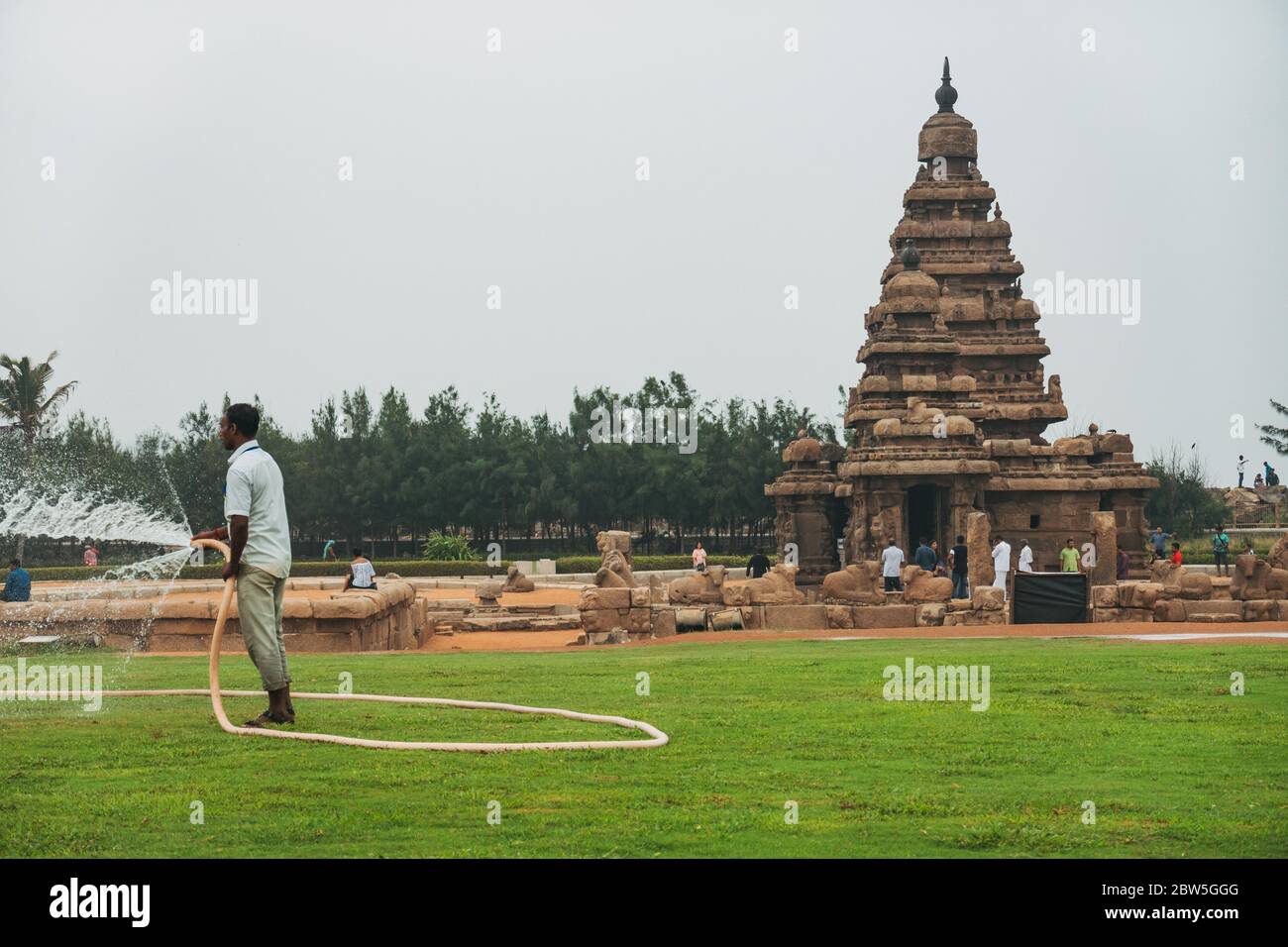 Un custode di terra infonderà un prato al tempio Shore, uno dei più antichi templi indù strutturali dell'India a Mahabalipuram, Tamil Nadu Foto Stock