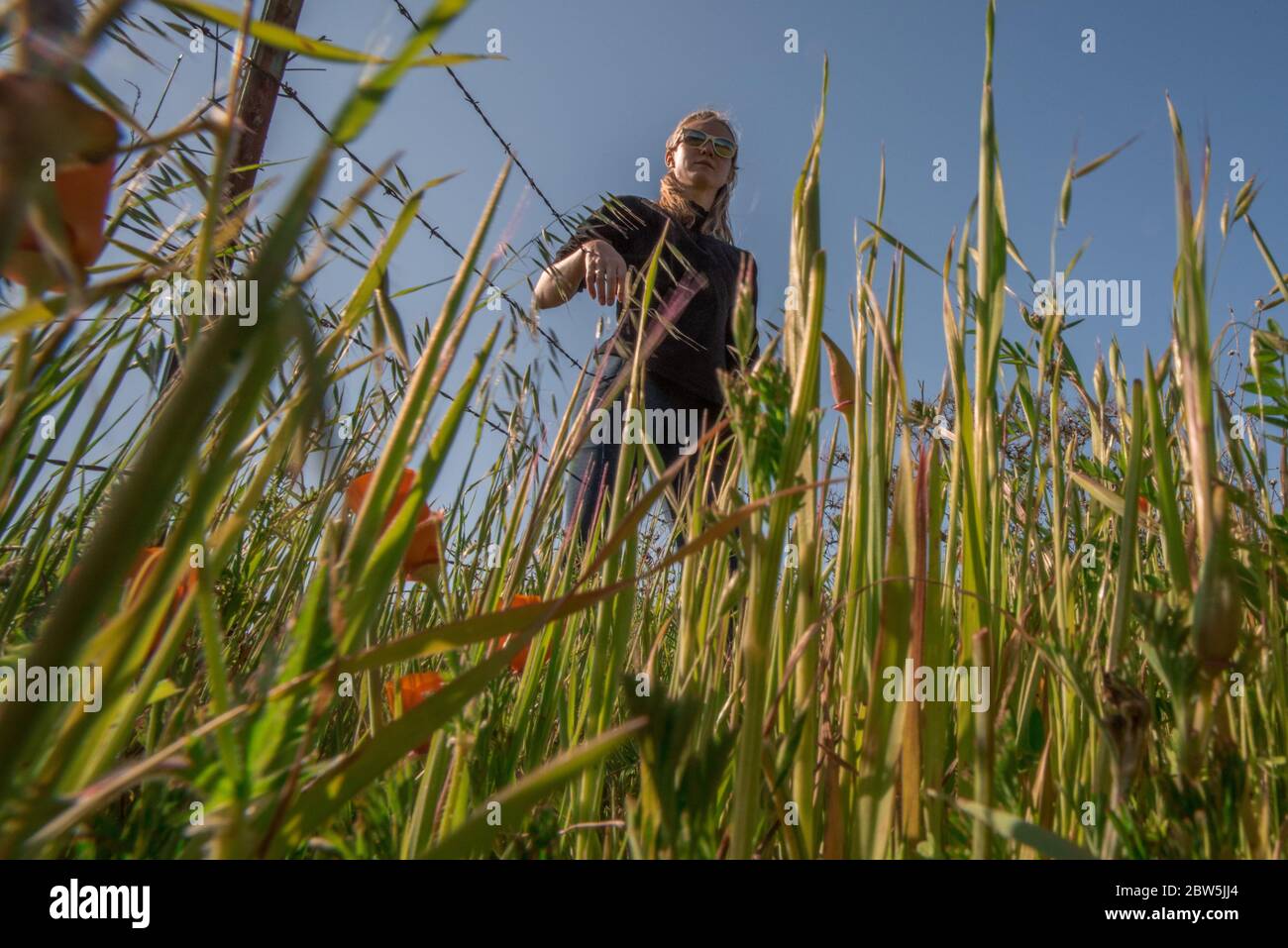 Una donna bionda in piedi in erba visto dalla prospettiva di un bug nell'erba. Angolo insolito dal basso. Foto Stock