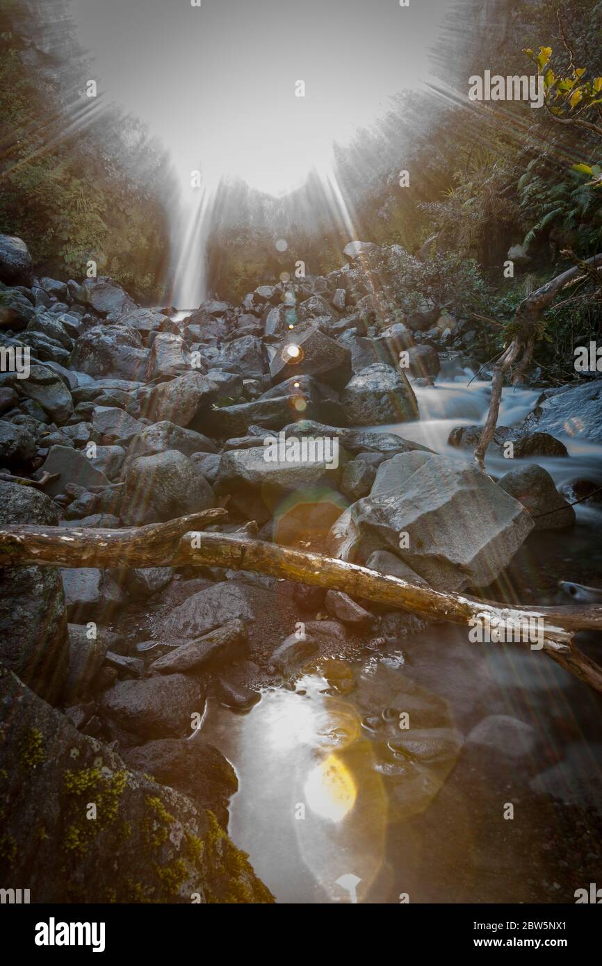 Letto roccioso del fiume con il flusso rimanente che scorre illuminato da un luminoso bagliore di sole attraverso gli alberi, Taranaki Nuova Zelanda. Foto Stock