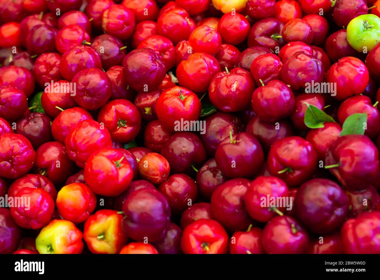Frutti aspri immagini e fotografie stock ad alta risoluzione - Alamy