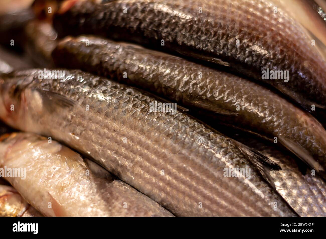 Pesce fresco nel mercato. Marine approccio alimentare di scale e la pelle del pesce dal mare. Foto Stock